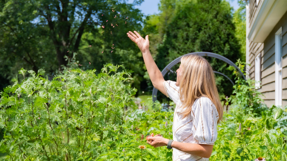 5 Easy Steps to Plant a Pollinator Garden from Seed • Gardenary