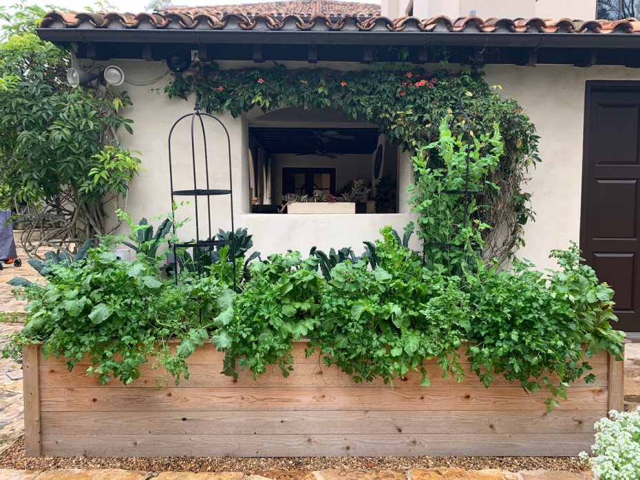 5 Questions To Ask Your Garden Consultant