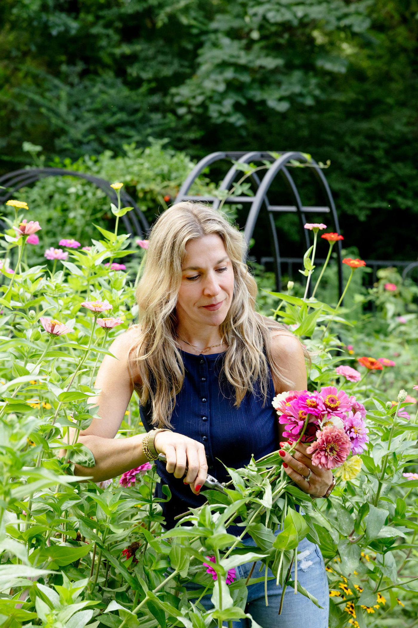 person harvesting zinnia flowers from garden