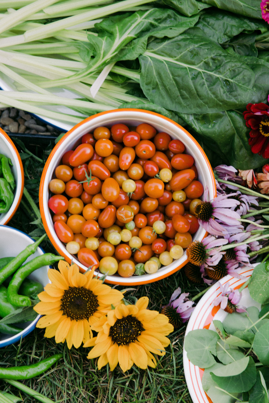 eat with the seasons