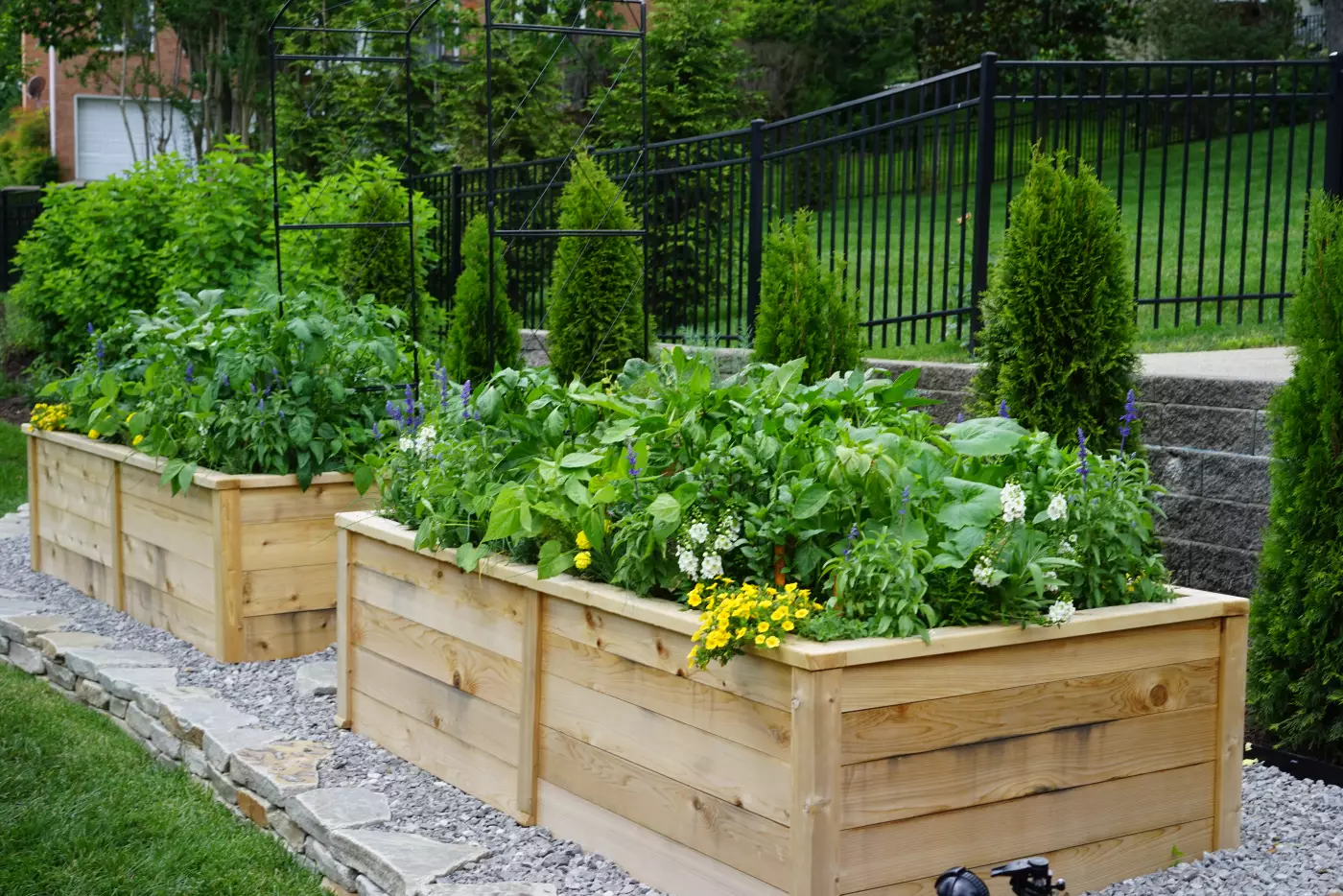 two cedar raised beds with trim