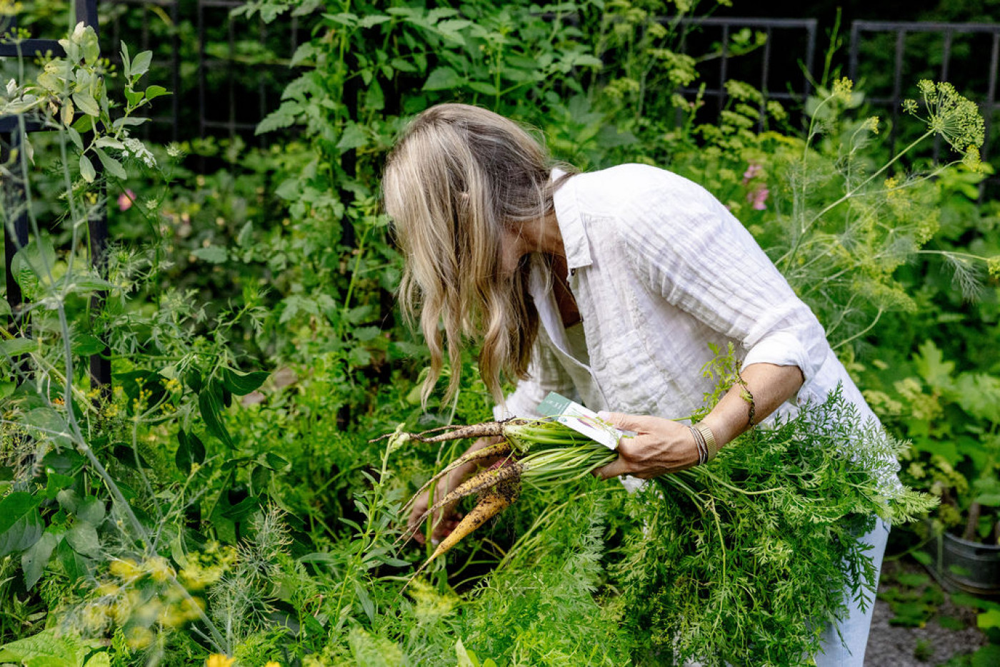 carrots are a great plant for fall gardens