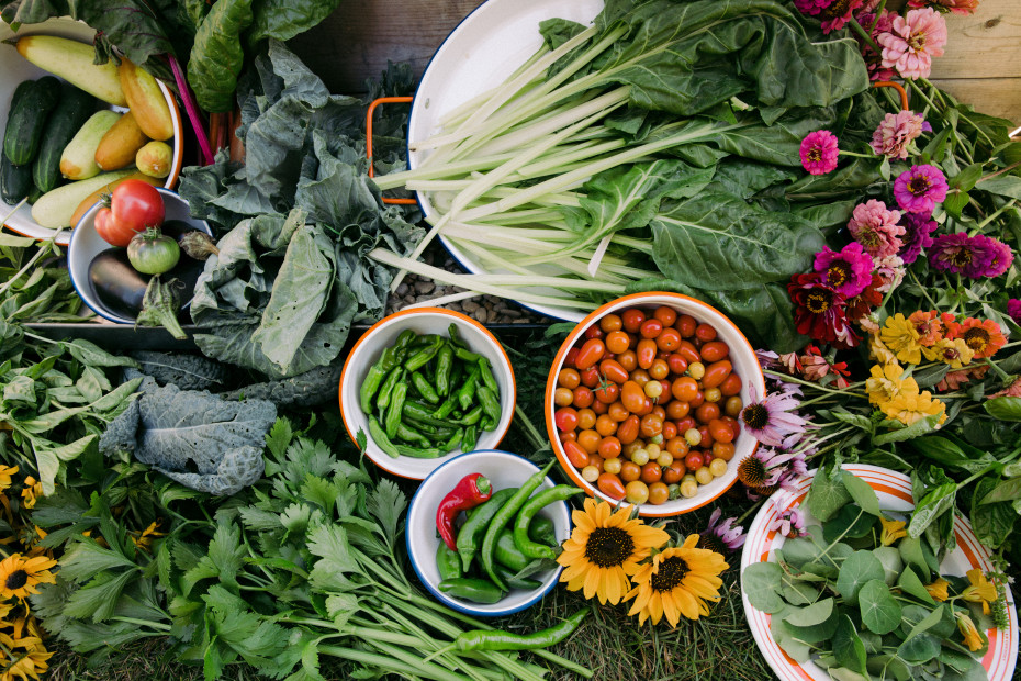 5 Questions To Ask Your Garden Consultant