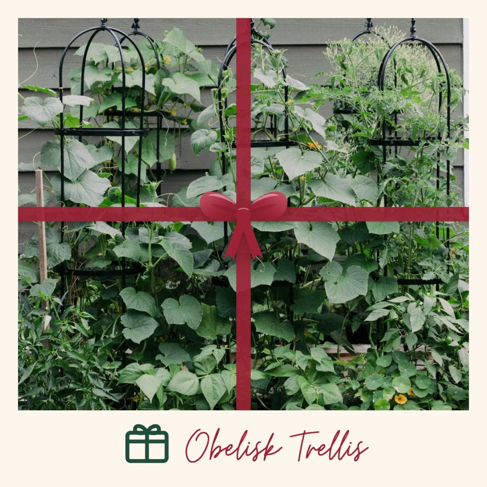 obelisk trellis