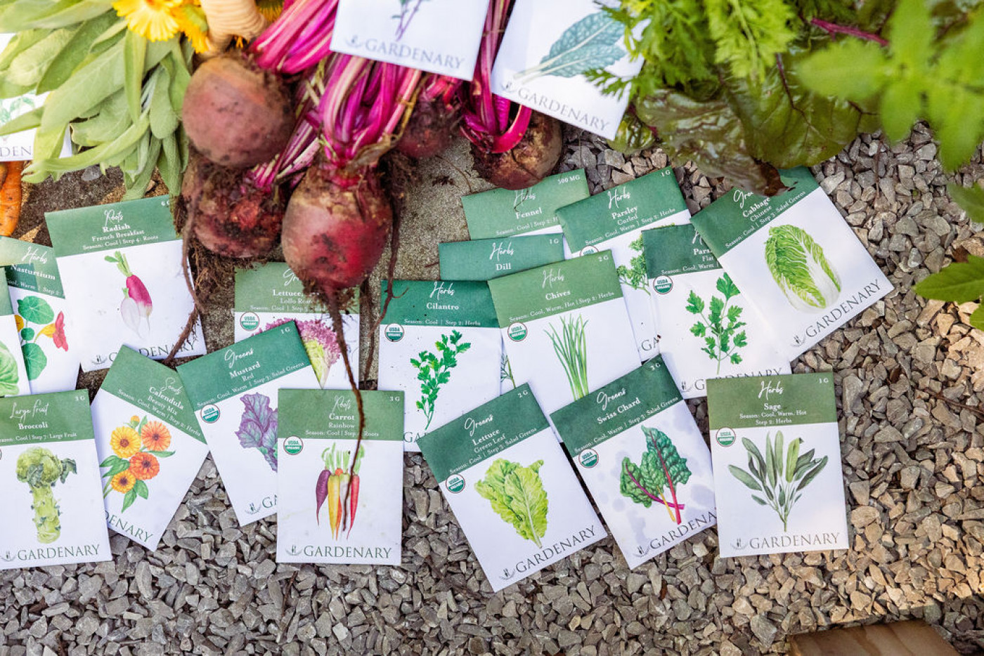 Several packs of seeds on the ground with vegetables around them