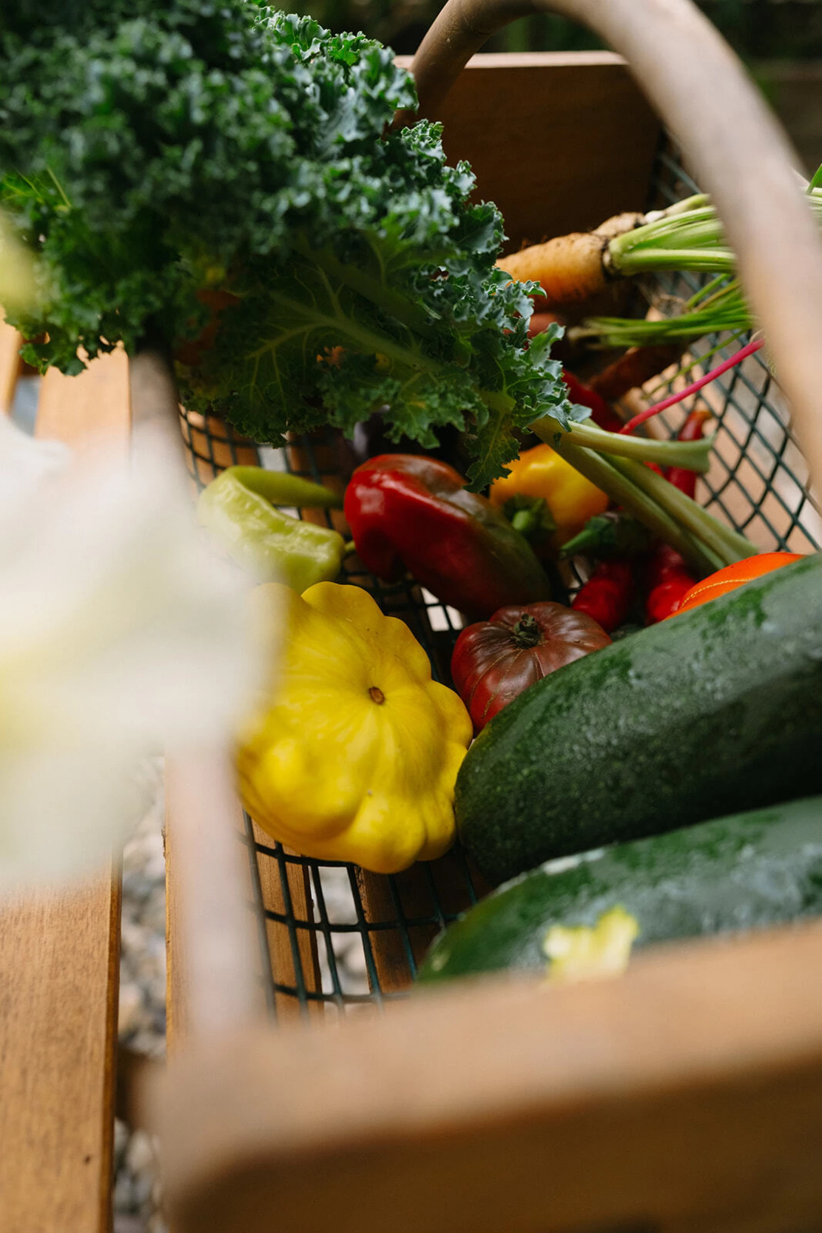 a basket of veggies
