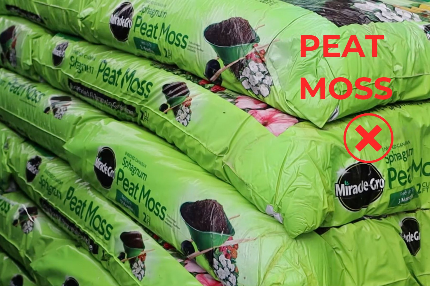 Peat Moss