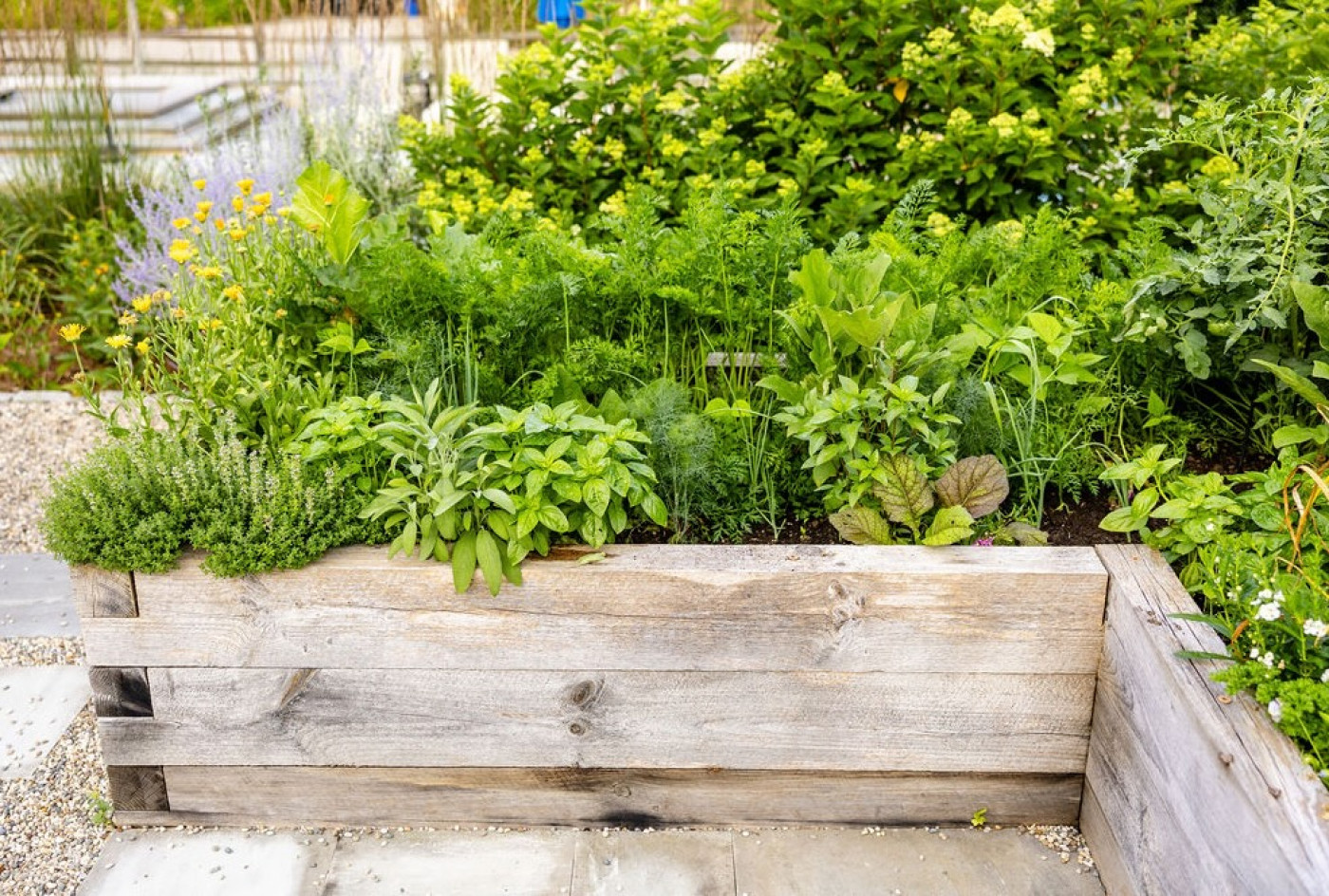 raised garden bed filled with veggies