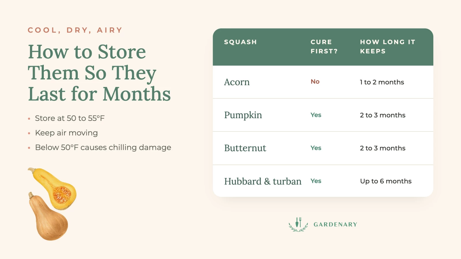 infographic on how to store pumpkins and squash