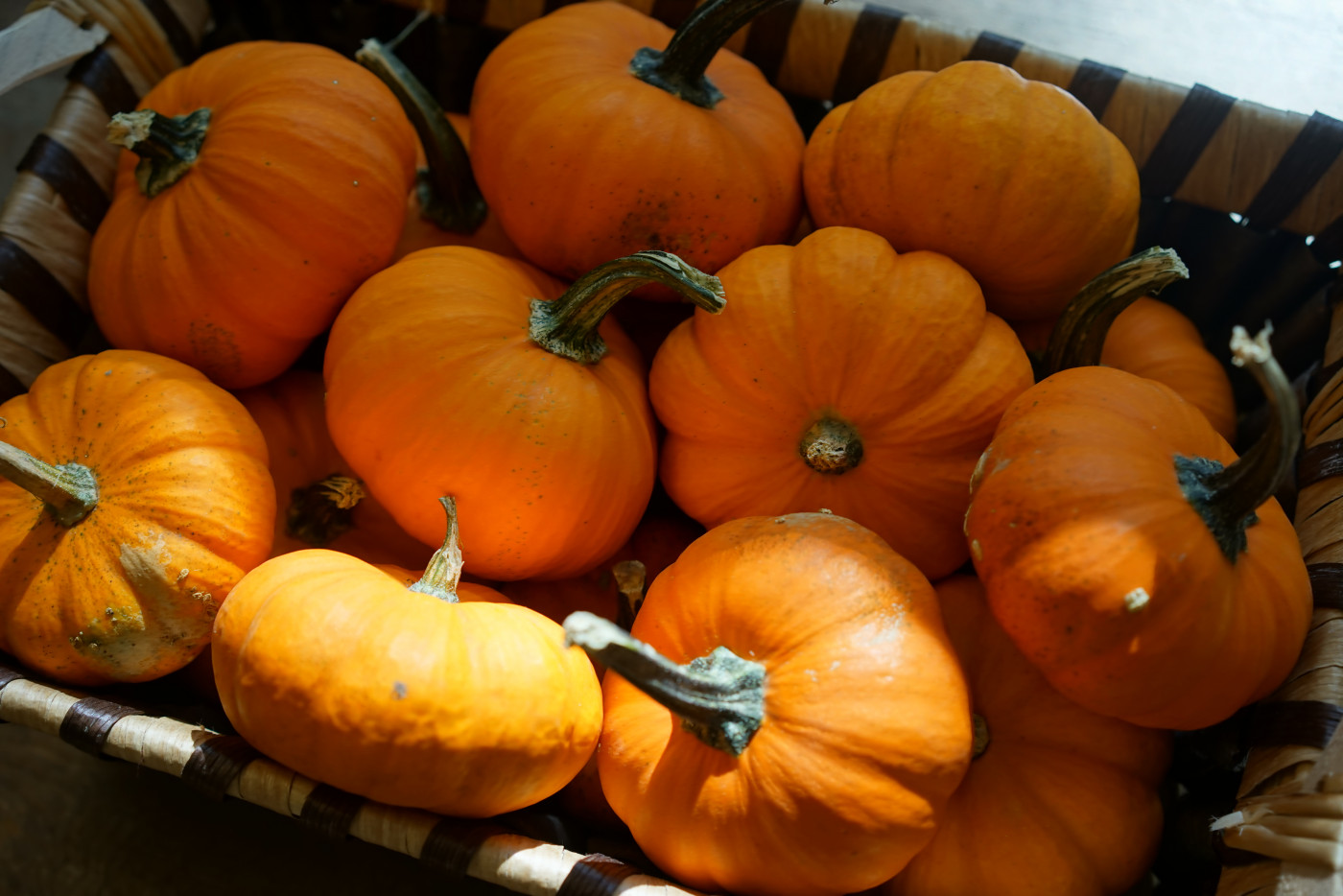 Several small orange pumpkins