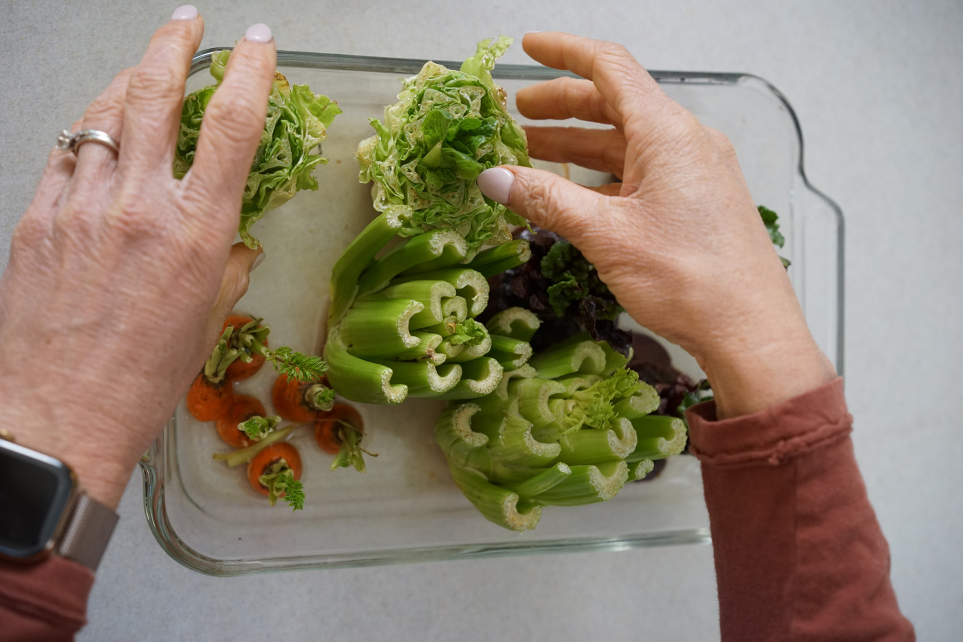 regrowing veggie scraps in water