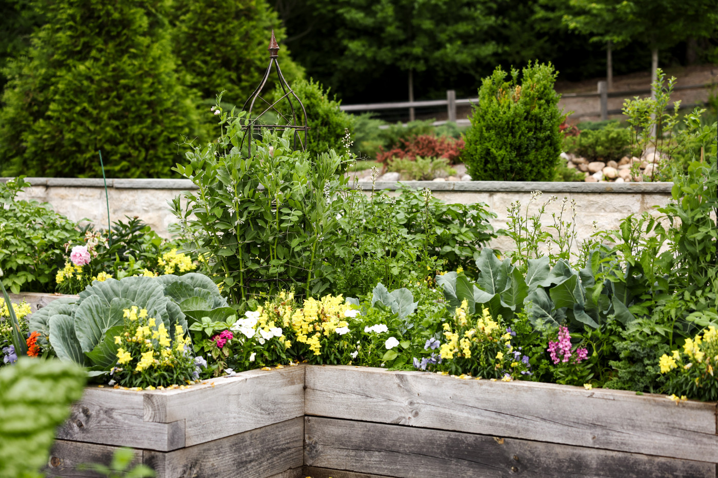 Raised wooden garden bed with a colorful border of flowers along the edges and lush vegetable plants growing in the center.