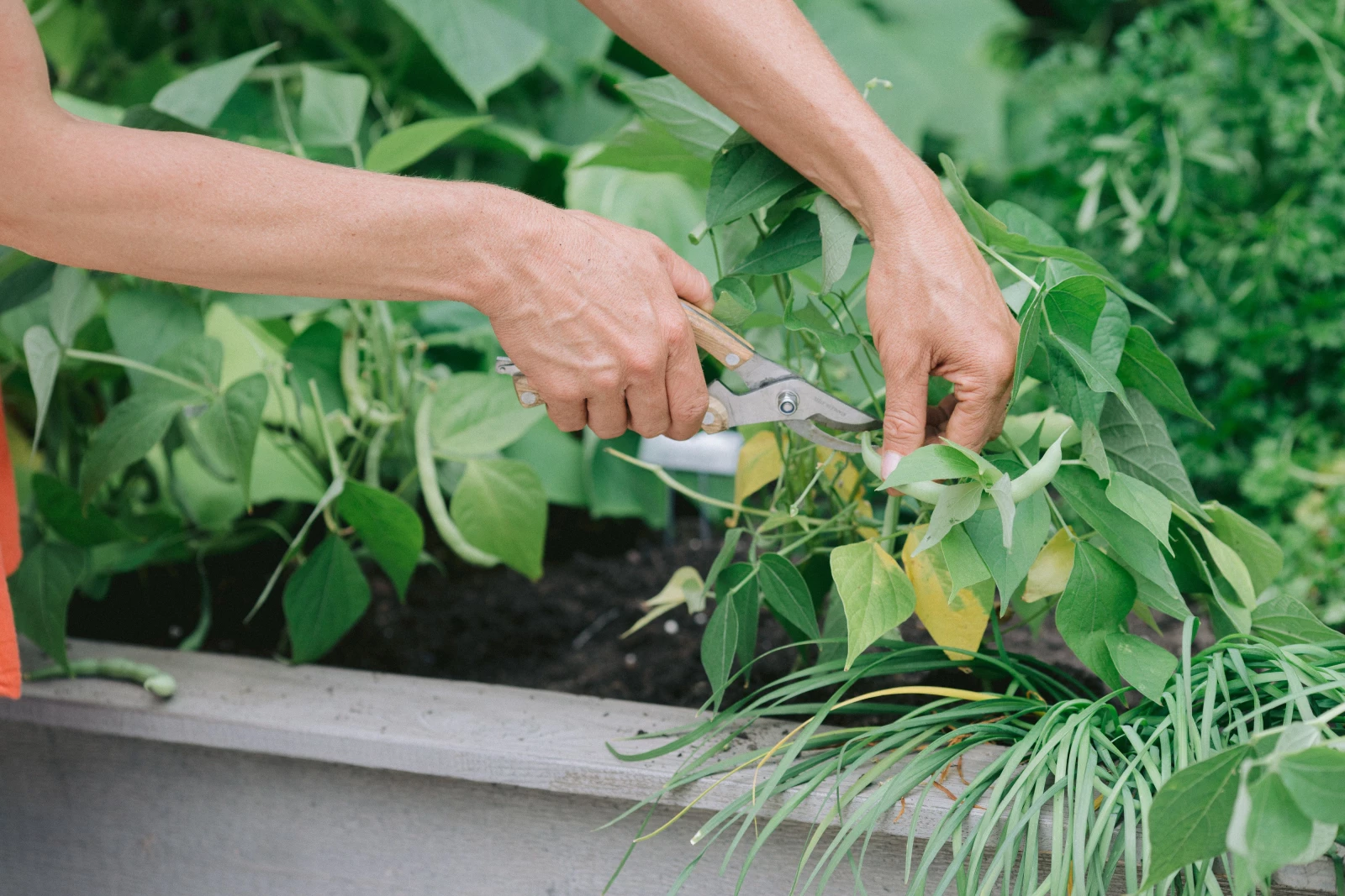 Episode 35 of the Grow Yourself Podcast: Talk Dirty to Me