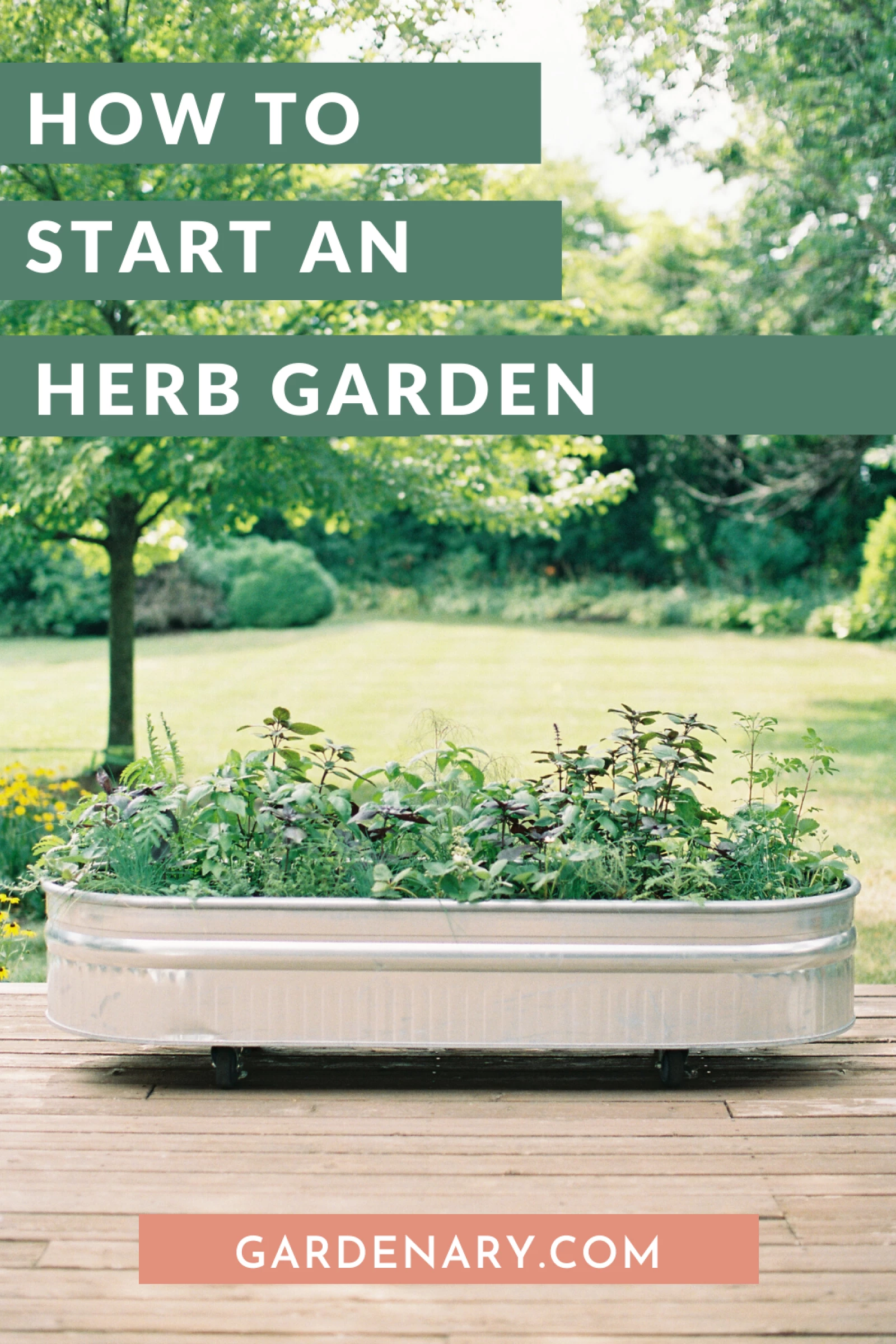 How to Start an Herb Garden • Gardenary