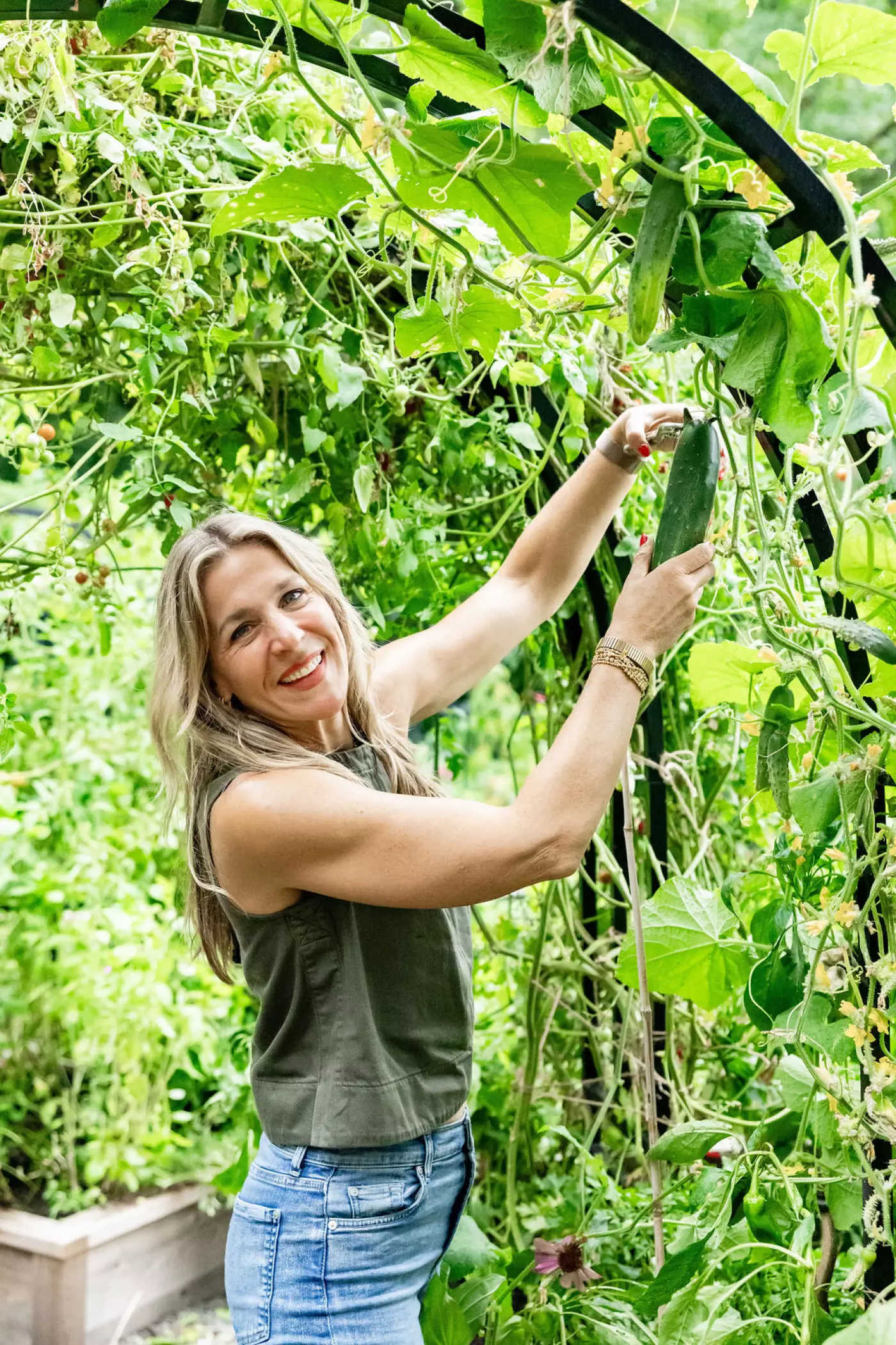 a woman holding and harvesting a cucumber on a trellis