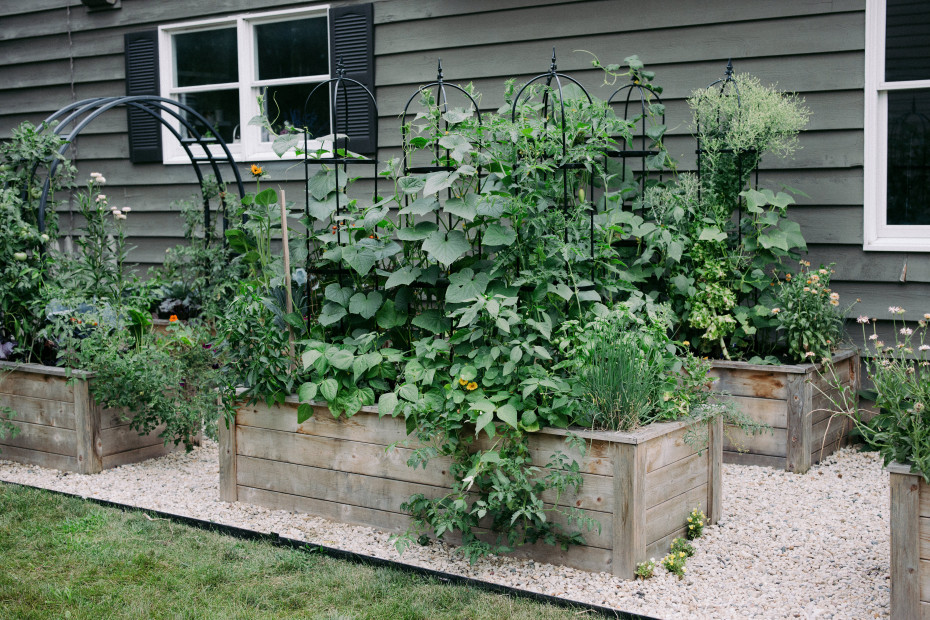 5 Questions To Ask Your Garden Consultant