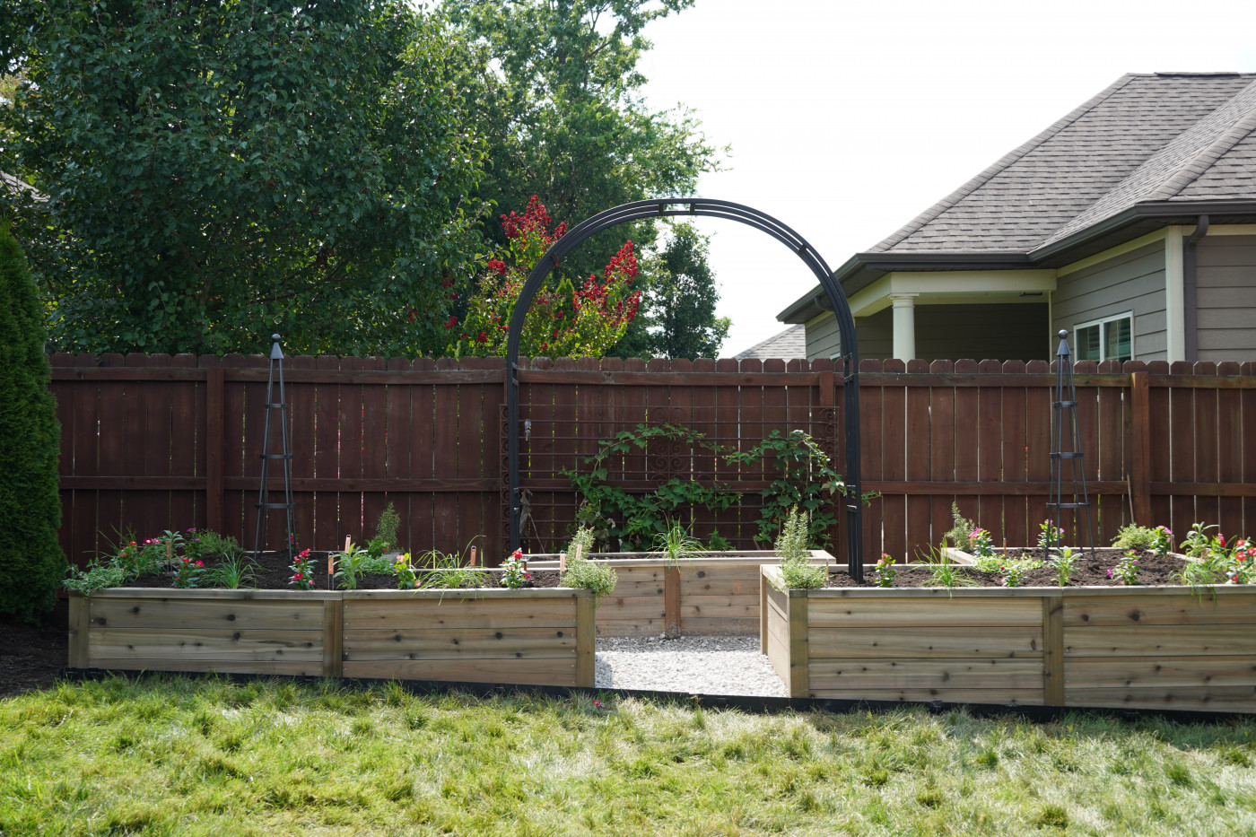 Two lush cucumber vines growing up an arch trellis in a backyard raised bed garden surrounded by zucchini and flowers.