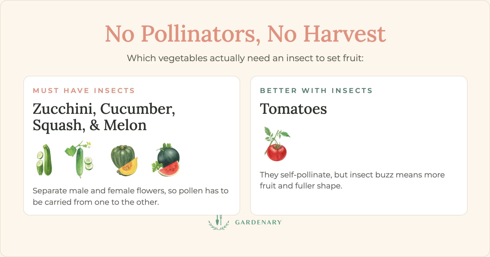 beneficial bug infographic