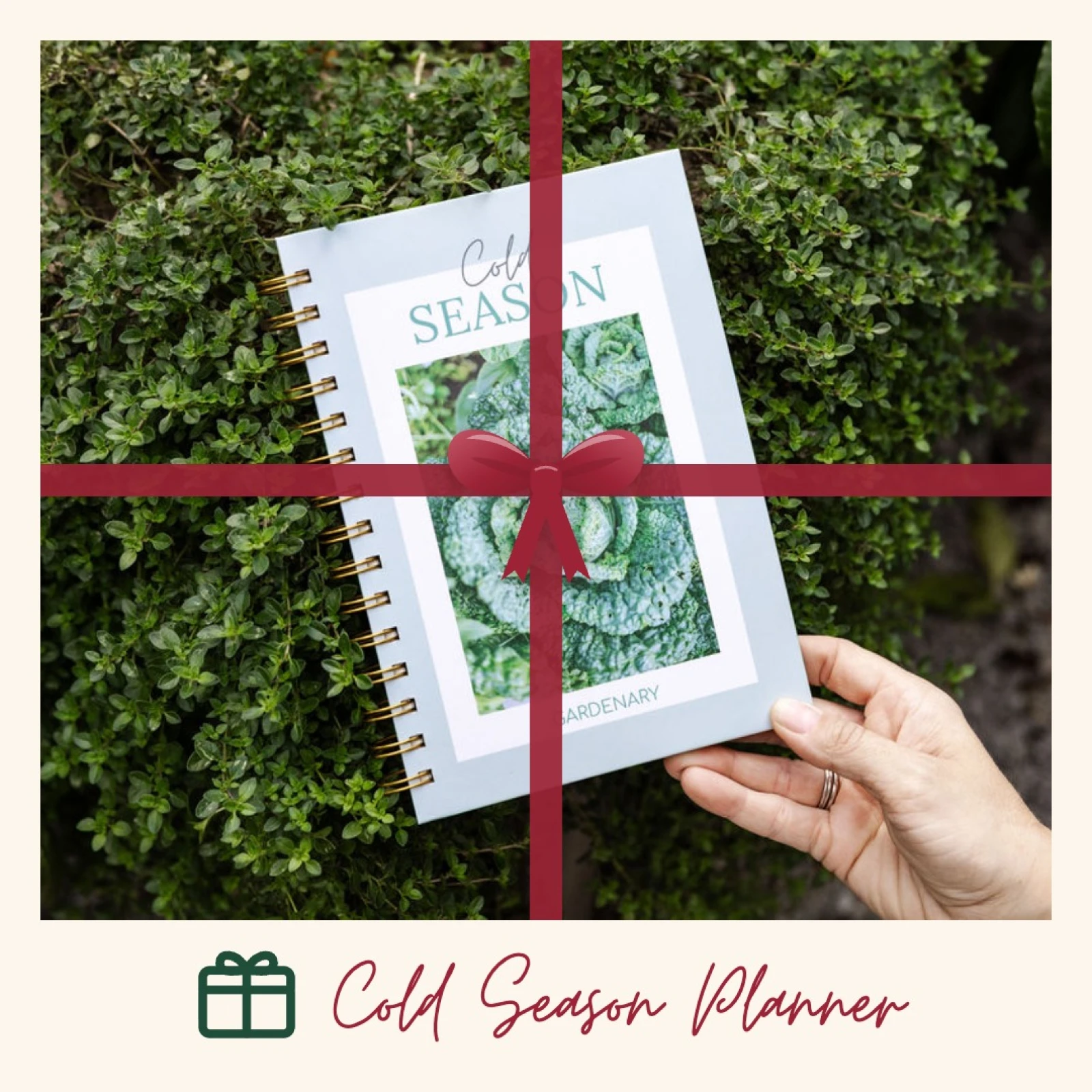 cold season planner